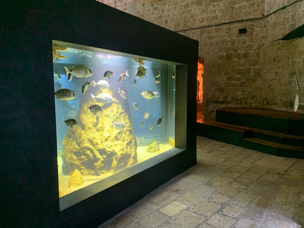 Dubrovnik Aquarium